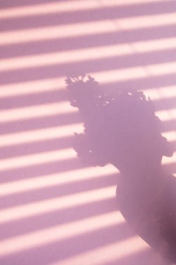 Açık mor arkaplandaki bir vazoda jaluzi şeritleri ve leylak dallarının yansıması. Soyut arkaplan.