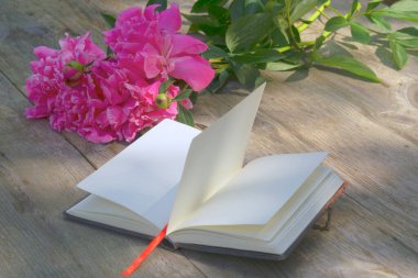 Günlük defterini ve çiçek buketini aç. Güzel tebrik kartı. Yeni bir hayatın başlangıcı kavramı.