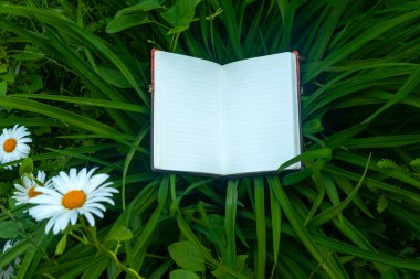 Yeşil çimenler, İş ve Eğitim konsepti şablonu üzerine defteri aç.