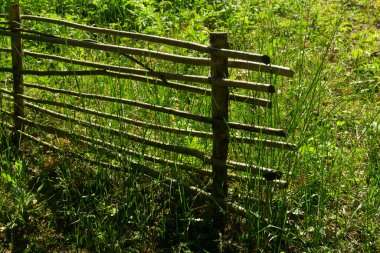 Beyaz Rusya, ormandaki dallardan yapılmış el yapımı hasır çitler.