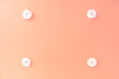 Çiçek kompozisyonu. Pembe arka planda beyaz küçük gül çerçevesi. Anneler günü, sevgililer günü, doğum günü, bahar, yaz konsepti. Düz konum, üst görünüm, kopyalama alanı