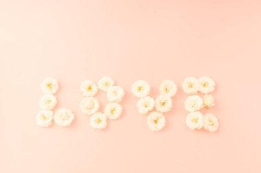 Çiçek kompozisyonu. Aşk kelimesi pembe arka plandaki küçük beyaz güllerden oluşur. Anneler günü, sevgililer günü, doğum günü, bahar, yaz konsepti. Düz konum, üst görünüm, kopyalama alanı