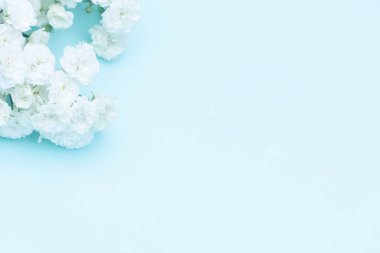 Mavi arka planda küçük güller, kopyalama alanı. Minimal biçim düzlüğü.