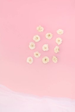 Pembe arka planda beyaz küçük güller. Güzellik ve aşk kavramı. Romantik bir ruh hali. Sevgililer Günü. Metin uzayının kopyası.