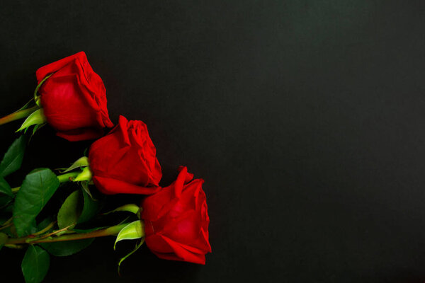 Heap of fresh red roses in full bloom on black background, close up. Bunch of flowers. Copy space. Top view, flat lay. Valentine's day or Mother's day, love concept.