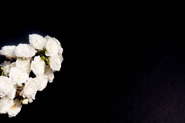 Rama Rosas Blancas Sobre Fondo Negro Mínimo Estilo Plano Laico — Foto de Stock