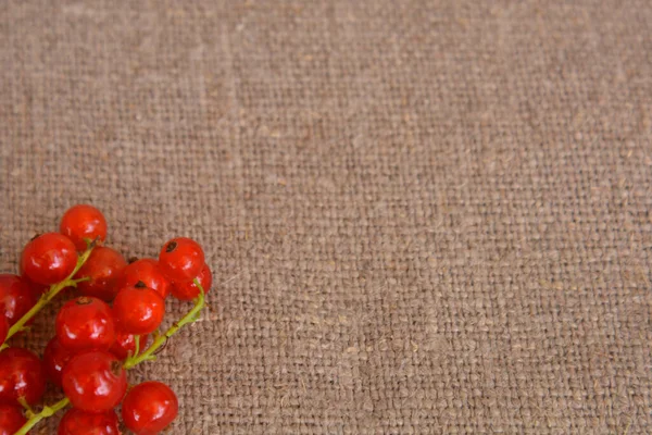 Kırmızı böğürtlen dalı keten arka planda kırmızı frenk üzümü. Vitaminler