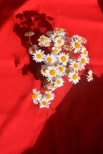 Beautiful Summer Bouquet Daisies Red Linen Background — Stock Photo, Image