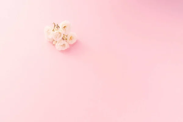 Bloemen Samenstelling Witte Kleine Rozen Roze Achtergrond Moederdag Valentijnsdag Verjaardag — Stockfoto
