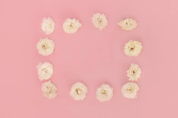 Ramka Białych Różyczek Różowym Tle Koncepcja Piękna Miłości Romantyczny Nastrój — Zdjęcie stockowe
