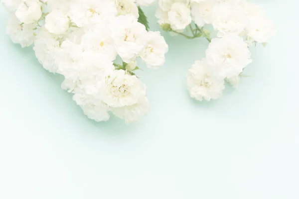 Borrifos Pequenas Rosas Brancas Sobre Fundo Azul Espaço Cópia Deitado — Fotografia de Stock