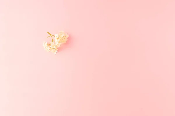 Bloemen Samenstelling Witte Kleine Bloemen Roze Achtergrond Moederdag Valentijnsdag Verjaardag — Stockfoto