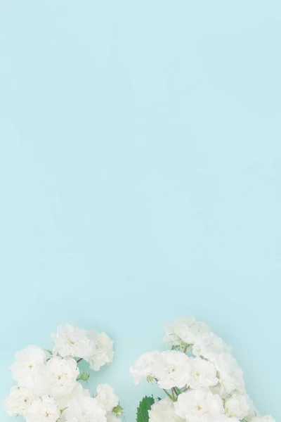 Borrifos Pequenas Rosas Brancas Sobre Fundo Azul Espaço Cópia Deitado — Fotografia de Stock