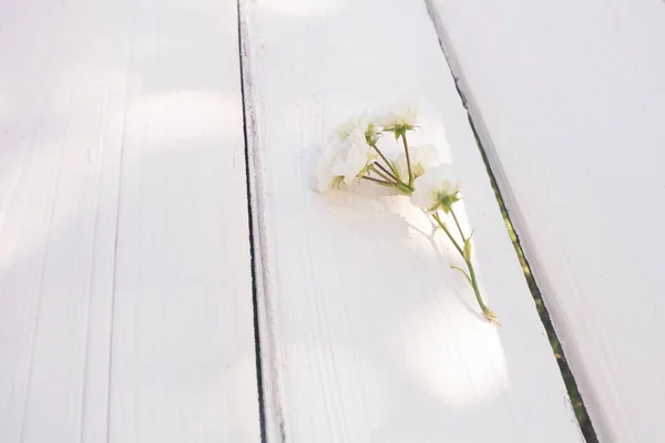 Raminho Pequenas Rosas Brancas Fundo Madeira Branco Feliz Aniversário Convite — Fotografia de Stock