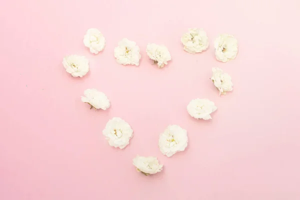 Corazón Rosas Blancas Sobre Fondo Rosado Concepto Belleza Amor Humor — Foto de Stock