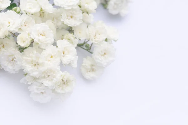 Купи Маленьких Троянд Білого Кольору Білому Тлі Копіюйте Простір Малий — стокове фото