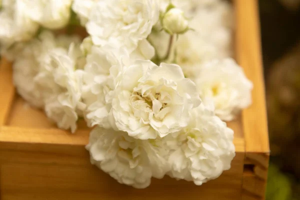 Drewniane Pudełko Białymi Różyczkami Wykonane Stylu Ogrodowym Bukiet Prezentów Dekoracje — Zdjęcie stockowe