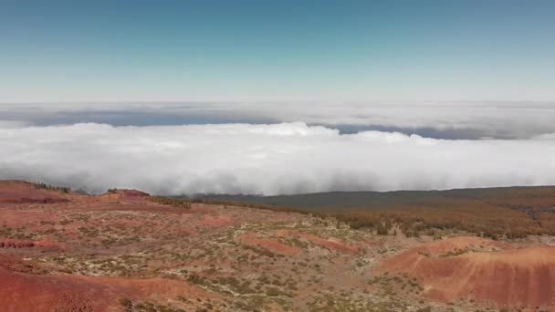 Luchtfoto schot. Vliegen boven de wolken, groene naaldhout bos. Rode vulkanische Canarische eilanden, Teide vulkaan. Nationaal park — Stockvideo