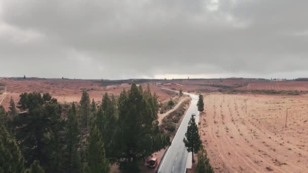 Tiro aéreo. Carros dirigem ao longo de uma estrada de asfalto que se estende para a distância Contra o pano de fundo de árvores verdes e pedra vermelha lanshafta deserto. Ilhas Canárias, Tenerife, Vulcão Teide — Vídeo de Stock