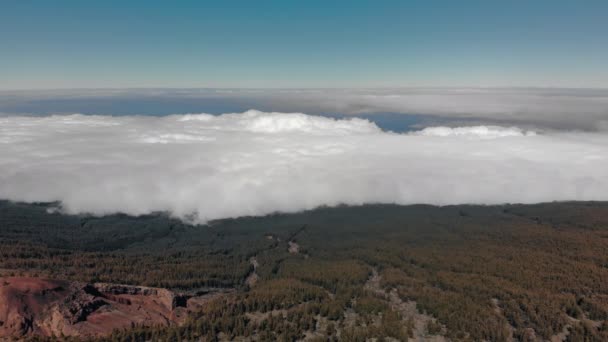 Un disparo aéreo. Bosque verde de las tierras altas. En primer plano, el pico de la montaña es de color rojo. Volando sobre las nubes. Movimiento atrás. El concepto de colonización de Marte y conservación de la naturaleza — Vídeo de stock