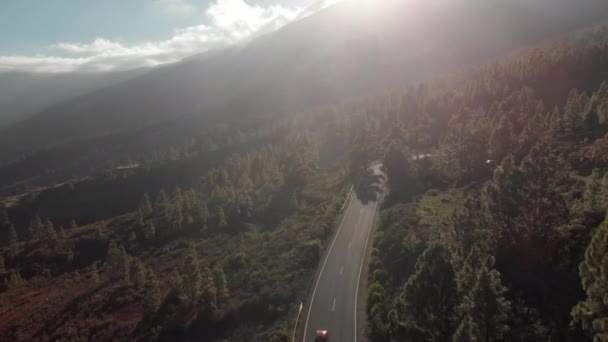 Antenn Skott Bilen Kör Längs Bergsväg Solnedgången Omgivet Skog Gröna — Stockvideo