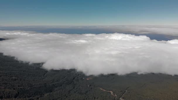 Un disparo aéreo. Bosque verde de las tierras altas. vuelo sobre las nubes. Movimiento de vuelta — Vídeos de Stock