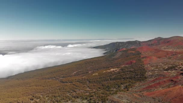 Hava atış. Uçan bir yayla orman çam iğneleri ve kırmızı bir volkanik manzara zemin karşı bulutların üzerinde. Bir yükseklikten dağ. Kanarya Adaları, Teide yanardağı. Milli Parkı — Stok video