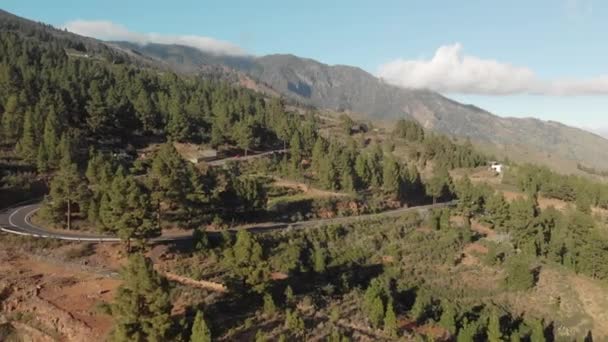 Légi felvétel. Autó vezetés egy hegyi aszfaltút naplementekor. hajtű be. Fly vissza. Zöld fenyők, az alacsony felhők, a kék ég és a hegycsúcsok, erdők veszik körül. Spanyolország, Kanári szigetek, Tenerife — Stock videók