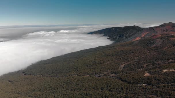 Hava atış. Panorama Alp orman bulutlar düzeyde. Volkanik Kanarya adalarında yere kırmızıdır — Stok video