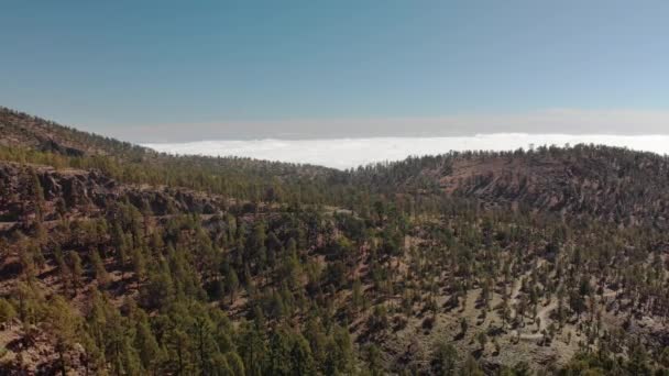 Vue aérienne. Survoler les montagnes et la forêt de pins verts et au-dessus des nuages. Vallée de montagne avec des voitures conduisant sur la route asphaltée allant loin. Espagne, Îles Canaries, Ténérife, Volcan Teide 