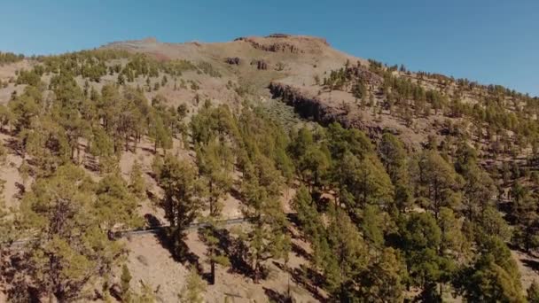 Légi felvétel. Hegyi úton a hegy vad zöld erdőben. Take-off kamera. Spanyolország, Kanári szigetek, Tenerife, Teide vulkán — Stock videók