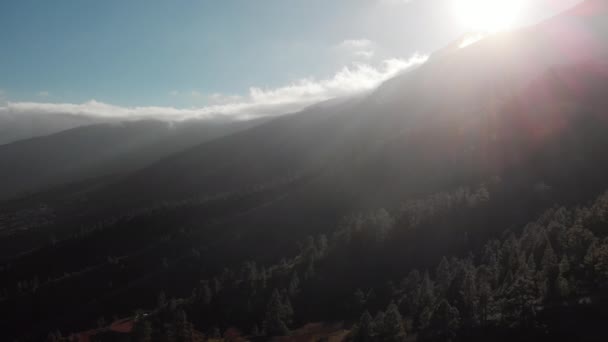 Hava atış. Kamera hareketi geri geri. Dağlarda günbatımı. Karanlık bir yeşil orman ağaçlarının fonunda. İspanya, Kanarya Adaları, Tenerife — Stok video