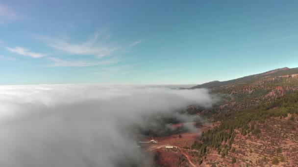 Aerial shot. Beautiful circular flight over volumetric textural clouds over a red volcanic valley. In the frame of a forest of green coniferous trees. Tenerife, Canary Islands, Spain. The concept of — Stock Video