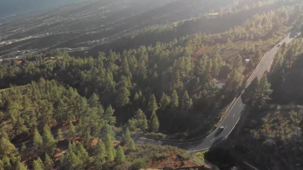 Hava atış. Uçuş arabalar hareketli olan yeni bir asfalt dağ yolu üzerinde. Yeni yol işaretleri. saç tokası açın. Yeşil çam, alçak bulutlar, mavi gökyüzü ve dağ zirveleri ormanlarla çevrili. İspanya — Stok video