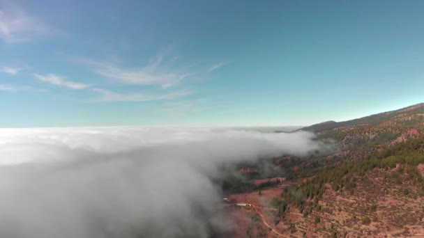 Légi felvétel. Gyönyörű repülés a vörös vulkanikus völgy felett a felhők felett. A keretben egy erdő zöld tűlevelű fák. Tenerife, Kanári-szigetek, Spanyolország. Megtakarítás a környezet fogalma — Stock videók