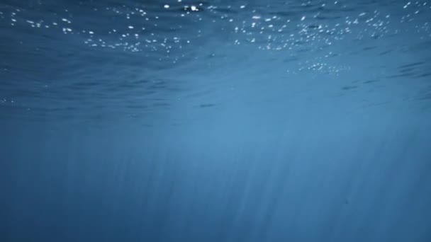 Οι ακτίνες του ήλιου περνούν μέσα από το γαλάζιο νερό του ωκεανού. Πυροβολήθηκα κάτω από το νερό, αργή κίνηση — Αρχείο Βίντεο