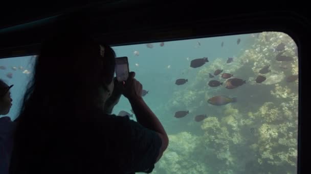 海底のサンゴ礁を見るための潜水艦に乗っているシニア女性の大人の観光客は、スマートフォンの部屋で魚を撮影します。スローモーション — ストック動画