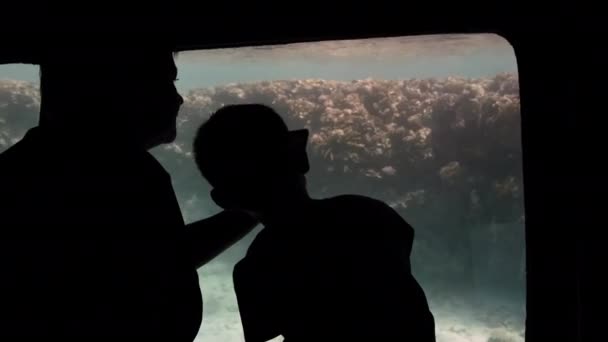 Silhouette of an unrecognized child of a boy and his parent near the large observation window of the underwater tourist bathyscaphe. An older woman takes a photo on a smartphone. With interest — Stock Video