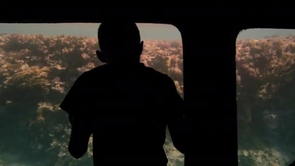 Silhouette of a child boy near the large observation window of the underwater tourist bathyscaphe. With interest considers and learns the underwater world of fish and coral reefs — Stock Video