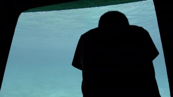 Silhouette of an unrecognized child boy with a short haircut near the large observation window of the underwater tourist bathyscaphe. Directly below the surface of clear blue water. With interest — Stock Video