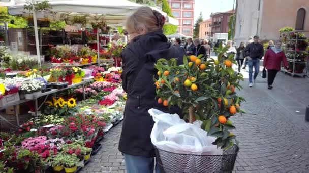 VENICE, Mestre, ITÁLIA - Maio 2019: Mulher não reconhecida com mudas de bicicleta e tangerina em uma cesta escolhe flores no mercado. Movimento lento — Vídeo de Stock