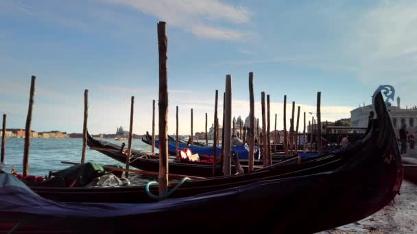 VENICE, Italy - May 2019: Rows of gondolas moored near the shore. Swing on the waves. Can be used to illustrate sea pollution. Slow motion — Stock Video