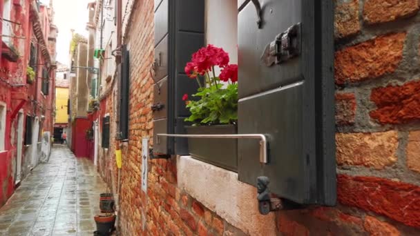 VENISE, Italie - Mai 2019 : Rue italienne traditionnelle avec maisons rétro après la pluie, volets sur les fenêtres. Des fleurs poussent sur le rebord de la fenêtre. Mouvement lent — Video