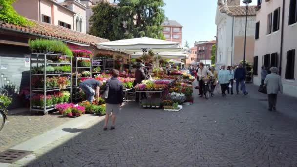 Venetië, Mestre, Italië-2019 mei: balies met verse bloemen in het centrum van de Italiaanse stad. Slow Motion — Stockvideo