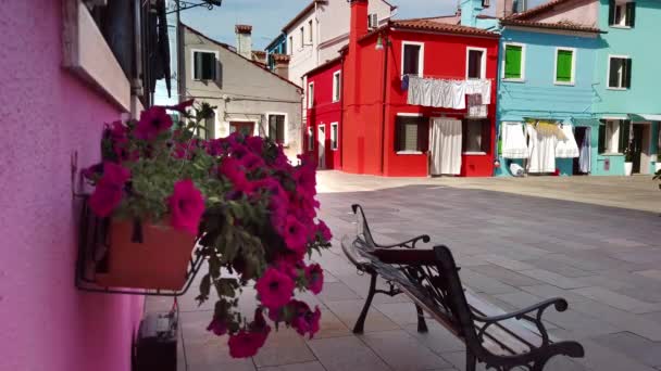 Burano, Βενετία, Ιταλία-Μάιος 2019: λουλούδια και πάγκο στο φόντο ενός δρόμου που δεν αναγνωρίζεται με πολύχρωμα σπίτια. Η έννοια της μοναξιάς και της έλλειψης ανθρώπων. Αργή κίνηση — Αρχείο Βίντεο