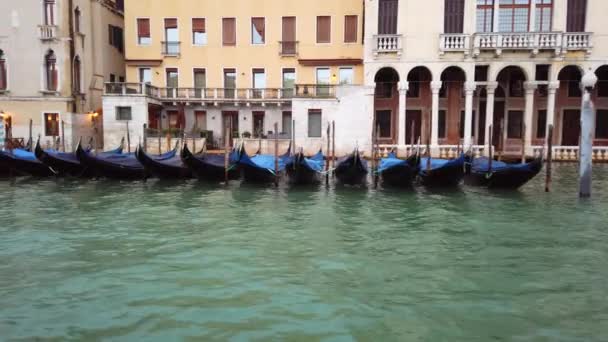 Venetië, Italië-2019 mei: veel gondels afgemeerd in de buurt van de kust. Grand Canal Street. Avond tijd. lantaarns verlicht. Slow Motion — Stockvideo