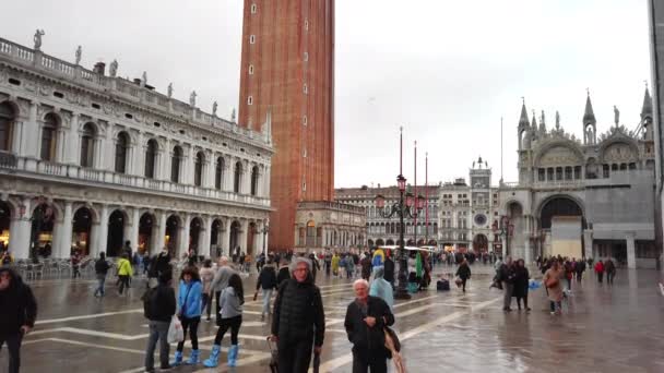 Venedig, Italien-maj 2019: huvudattraktionen. Piazza San Marco och många människor i regnigt höst väder. Slow motion — Stockvideo