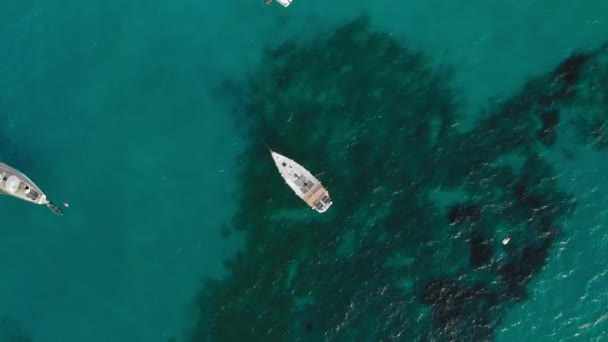 Παλέρμο, Σικελία, Ιταλία-2019 Αυγούστου: ιστιοπλοϊκό σκάφος με ηλιακούς συλλέκτες στο τυρκουάζ νερό του ωκεανού. Η κάμερα κοιτάζει προς τα κάτω. Έννοια της ανανεώσιμης ενέργειας. Εναέρια βολή — Αρχείο Βίντεο