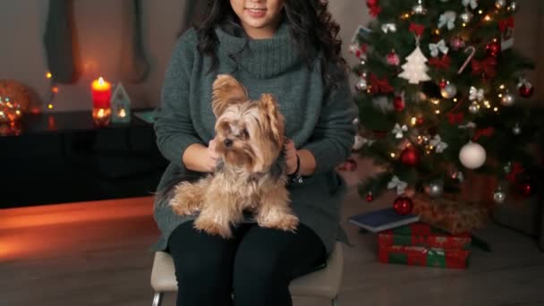 Feliz emocional mujer joven asiática en el interior de Navidad de año nuevo acariciando pequeño perro esponjoso. Concepto de celebración de Año Nuevo y Navidad — Vídeo de stock