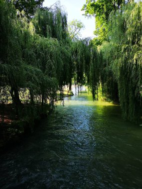 Münih'teki İngiliz parkında su yolu